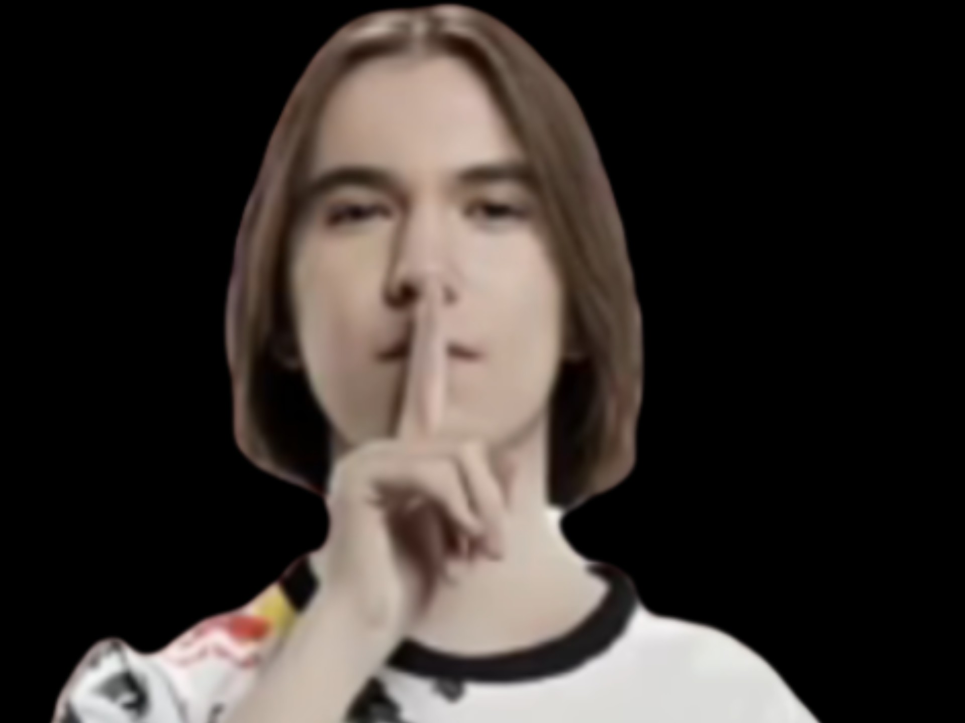 以主打本土 以主打本土